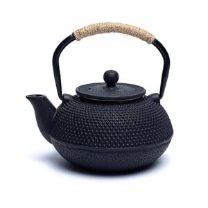 Tetsubin Theepot 0